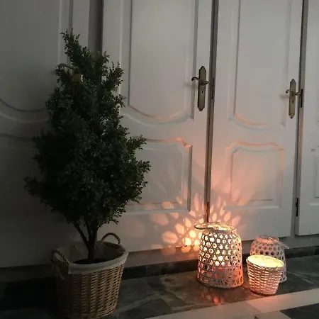 Camelias